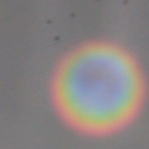 Meet your Posher, Benjamine